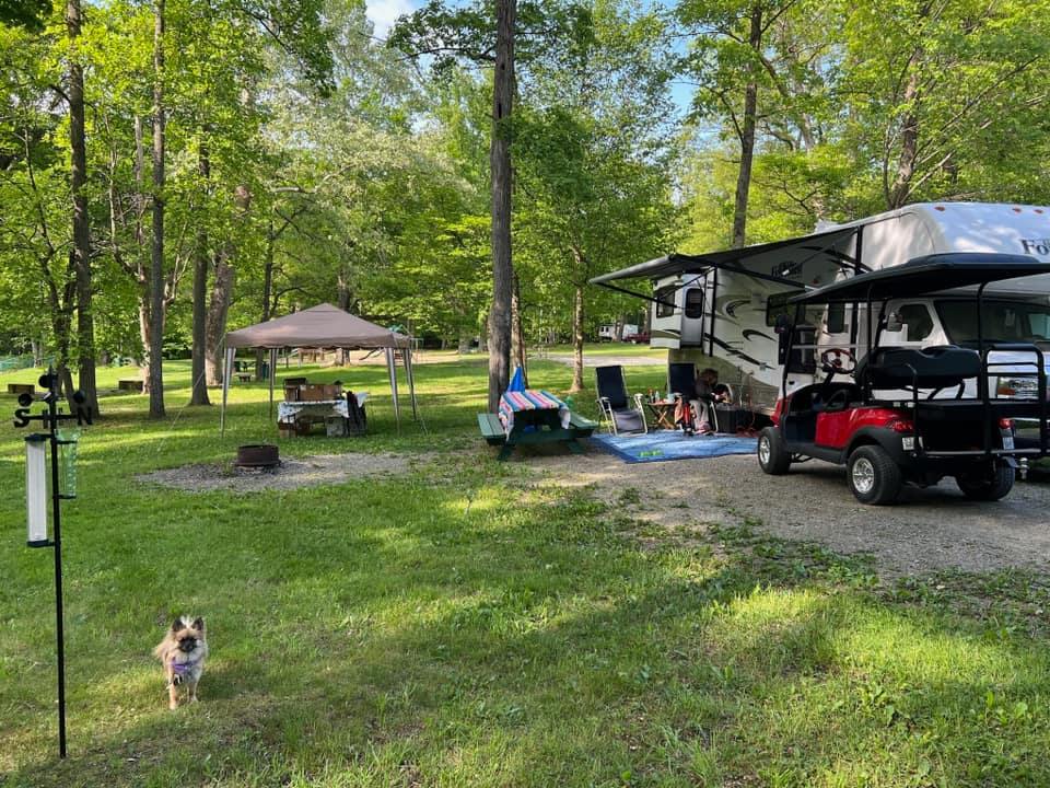 An rv parked in a wooded area with a dog standing next to it.