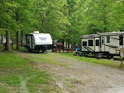 A group of rvs parked in a wooded area.